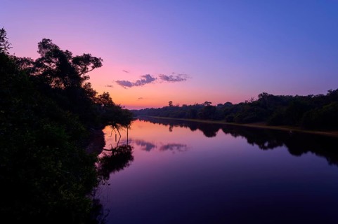 The river reflects the purple and pink morning sky, lined with thick trees, Fazenda Barranco Alto,