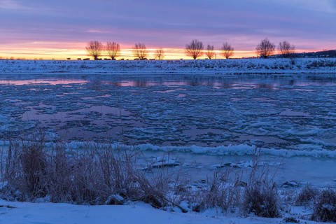 Cold winter morning on the Elbe with floating ice floes, snow and dawn at sunrise, Kötzschenbroda,