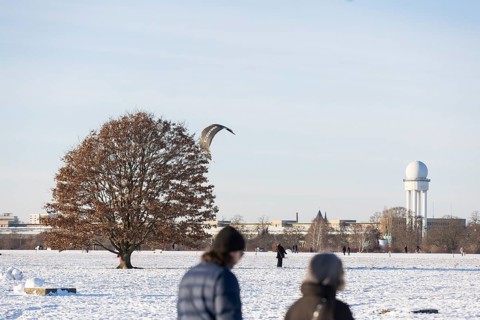 Winter, impressions from Tempelhofer Feld, Berlin, 11.01.2026
