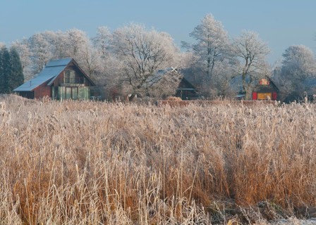 Frost-covered landscape with weekend houses and reeds under blue winter skies, Dümmer nature park