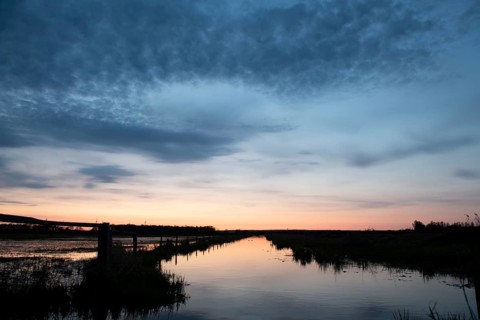 A wide area of water on the edge channel at Dümmer See reflects the soft light of sunset on the