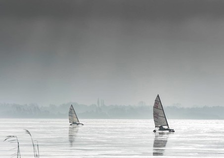 Ice sailors on frozen Dümmer Lake, grey sky in the background, Dümmer nature park Park, Lembruch,