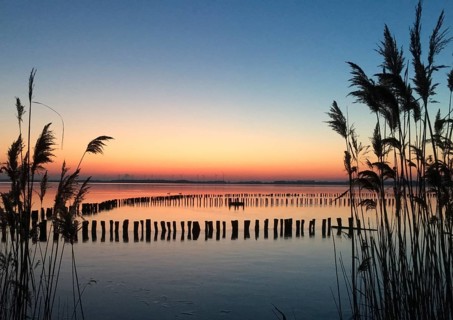 Dümmer See, Lembruch, Lower Saxony, Germany, atmospheric water landscape at sunset with reeds in