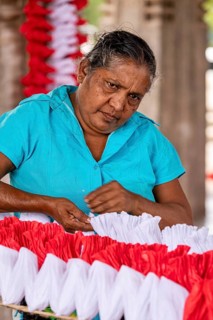 Woman concentrates making red and white decorations, people making garlands in Colombo Sri Lanka