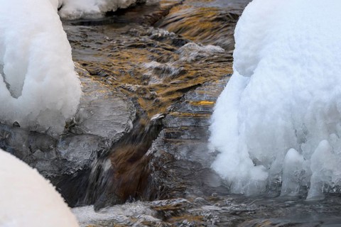 Ilsenburg, Saxony-Anhalt, Germany, close-up of water snaking through icy and snow-covered banks on