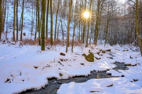 Ilsenburg, Saxony-Anhalt, Germany, A sunny winter day with snow-covered trees on the banks of the
