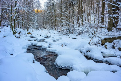 Ilsenburg, Saxony-Anhalt, Germany, Snowy Ilse River in the Harz National Park on Heinrich-Heine Weg