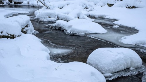 Snowy river Ilse in the Harz National Park with frozen banks in a wintry landscape on the