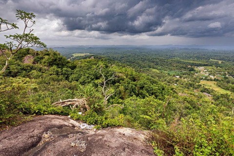 Far-reaching view of green forests and valleys under a dramatic cloudy sky, The landscape in the