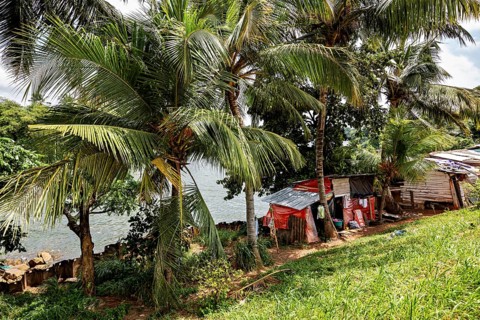 Small riverbank huts surrounded by palm trees and lush greenery in a tropical landscape, poverty