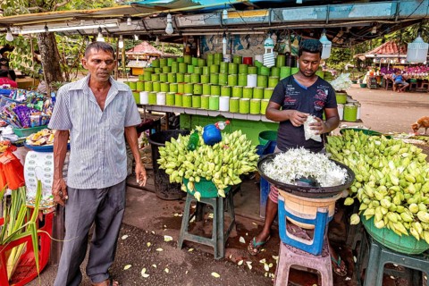 Men stand at a market stall selling tropical flowers and green pots. Atmospheric, rural and