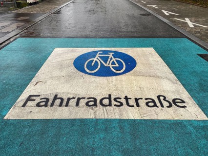 Marking, traffic sign bicycle road, bicycle road, logo, on asphalt of a rain-wet road, Bad