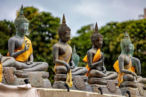 Several Buddha statues with yellow robes against a green backdrop, The Seema Malaka Temple with the