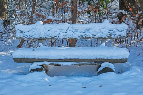 Snowy bench, winter, snow, Sieversen, Samtgemeinde Rosengarten, Lower Saxony, Germany