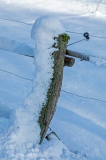 Snowy fence post, winter, snow, Sieversen, Samtgemeinde Rosengarten, Lower Saxony, Germany