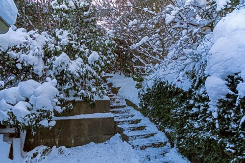Snowy garden, stairs, winter, snow, Sieversen, Samtgemeinde Rosengarten, Lower Saxony, Germany