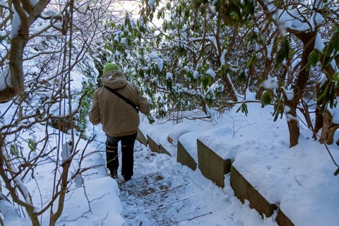 Woman walking down icy stairs, winter, snow, ice, Sieversen, Samtgemeinde Rosengarten, Lower