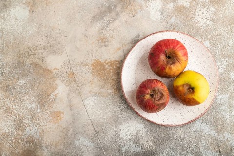 Decaying, Rotting apples on ceramic plate on brown concrete background. Top view, copy space, flat