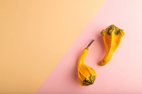 Two decorative orange Pumpkins on pink and orange pastel paper background, top view, flat lay, copy