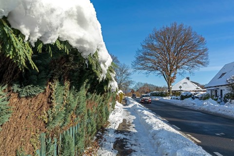 Snowy hedge, road, houses, winter, snow, Sieversen, Samtgemeinde Rosengarten, Lower Saxony, Germany