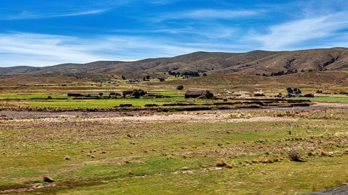 Wide, green pastures with hills in the background under a blue sky, the landscape of the Altiplano