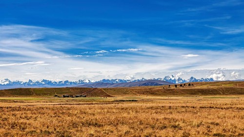 Endless fields against a mountainous backdrop under a blue sky, the Altiplano landscape in the