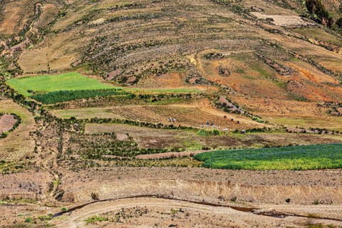 Fields and hills with various vegetation areas and some trees in a dry environment, The landscape