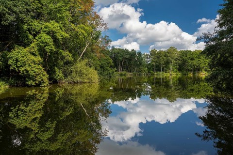 Cumulus clouds over Ahlhorn fish ponds, Ahlhorn, Lower Saxony, Germany