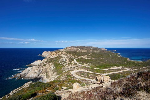 Punta de la Revellata, Calvi, Haute Corse Department, Corsica, France