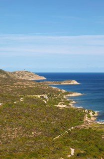 Coast at Punta de la Revellata, behind the lighthouse, Calvi, Haute Corse Department, Corsica,