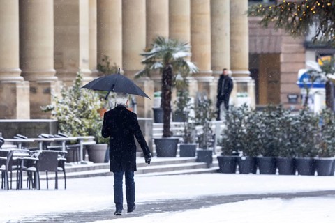 Winter in Stuttgart. There is a closed blanket of snow in the city center. Palm trees and other