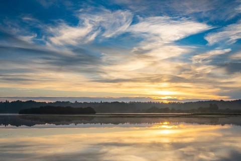Sunrise with fog on a lake at the Ahlhoner fish ponds, Ahlhorn, Lower Saxony, Germany
