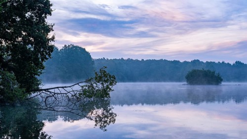 Daybreak with fog at blue hour in the Ahlhorner Fischteiche nature reserve of the Lower Saxony