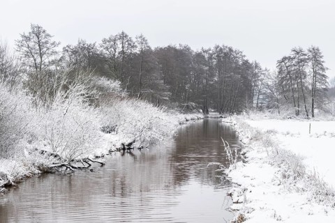 Winter landscape on the Ems, Emsland, Lower Saxony, Germany