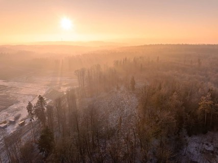 Foggy winter landscape with trees under golden morning sun, old deposit, construction site for PV