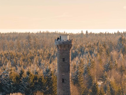 A detailed view of an observation tower surrounded by snow-covered trees, Holohturm, Gernsbach,