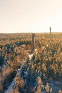 A snowy forest with a tower and sunlight penetrating through the trees, Holohturm, Gernsbach,