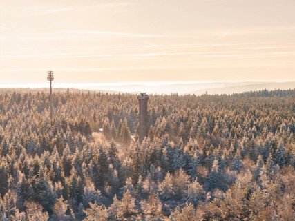 View of a winter forest with a tower and cell phone tower in the evening, Holohturm, Gernsbach,