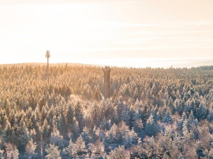 A snow-covered forest with a tower in the morning sun, Holohturm, Gernsbach, Rastatt district,
