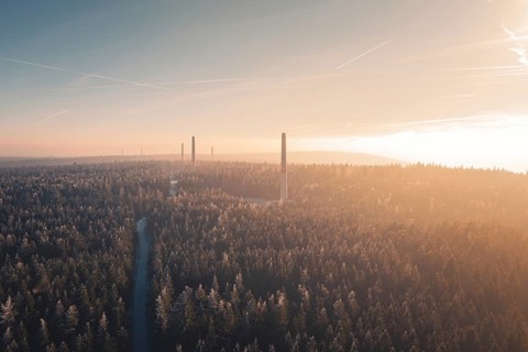 A dense forest with tall wind turbine towers on the horizon, surrounded by soft sunset light and