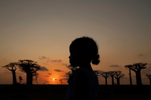 Little girl at sunset in front of a small baobab forest in western Madagascar