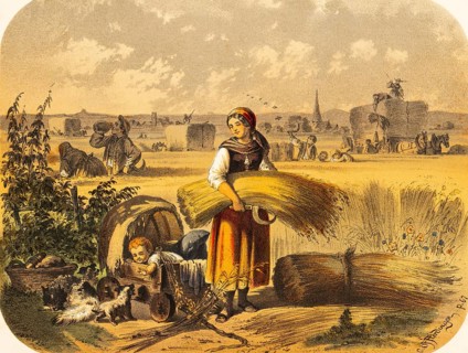 Young woman with baby in a stroller on a cornfield, agriculture, harvest, grain, bundle, sickle to