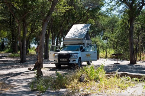 Motorhome on a shady woodland surrounded by trees and sunshine, 4WD motorhome, camper, bushcamper,