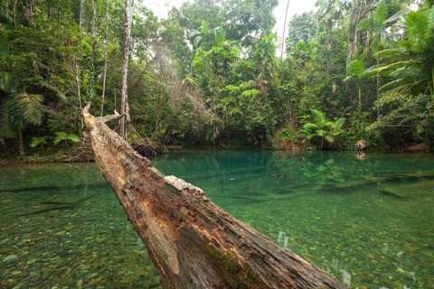 The Blue Hole, Cooper Creek, Daintree National Park, Queensland, Australia