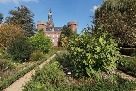Historischer Kräutergarten, Parkanlage Museum Schloss Moyland, Bedburg-Hau, Lower Rhine, North