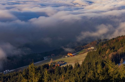 Agricultural landscape with farms rising out of a sea of fog, inversion weather, Mondseeland,