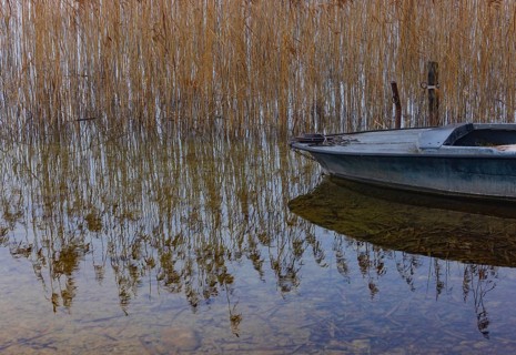 Foggy autumn atmosphere at the lake with fishing boat in reeds, Irrsee, Salzkammergut, Upper