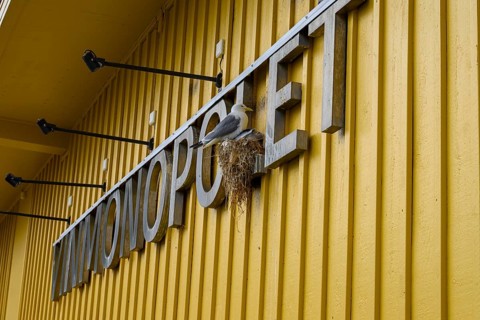 Yellow building of the Norwegian state wine monopoly with sign and floodlights and a breeding