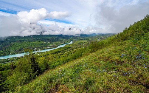 View of snowy mountains in spring and turquoise blue Kenai River, Slaughter Ridge Trail, Cooper