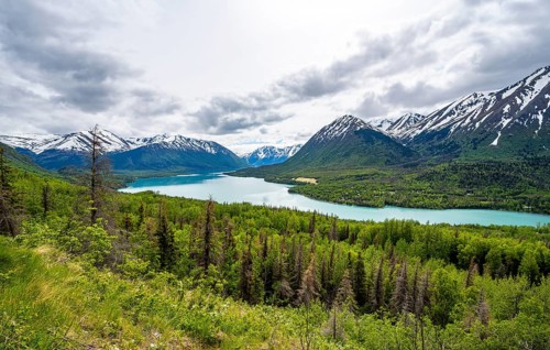 View of snowy mountains in spring and turquoise blue Kenai Lake, Slaughter Ridge Trail, Cooper